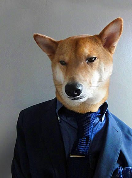 MENSWEAR DOG 1